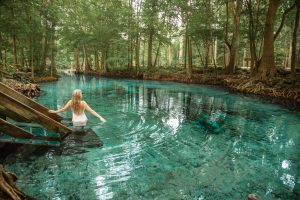 The ultimate guide to tubing Ginnie Springs in Florida