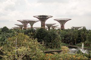 10 Singapore tips you need to know before you go