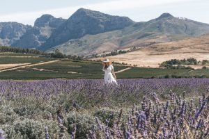 Explore the treasures of the most scenic wine route in South Africa