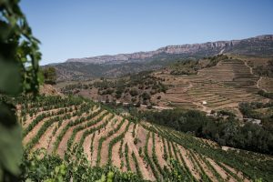 10 travel tips for Catalonia you need to know before you go
